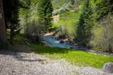 12123 County Road 313 - Photo 8