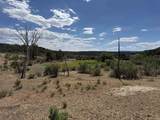 4530 Horse Canyon Road - Photo 17