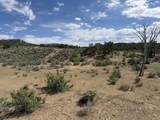 4530 Horse Canyon Road - Photo 18