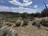 4530 Horse Canyon Road - Photo 21