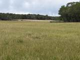 TBD Cactus Park Road - Photo 1