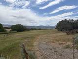 TBD Cactus Park Road - Photo 13