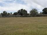 TBD Cactus Park Road - Photo 2