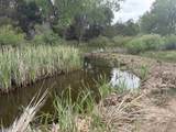 TBD Cactus Park Road - Photo 6