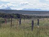 TBD Cactus Park Road - Photo 8