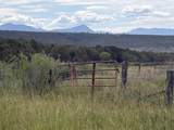 TBD Cactus Park Road - Photo 9