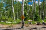 58260 Elk Drive - Photo 30
