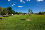 607 Saffron Way - Photo 42