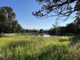 31807 B50 Road - Photo 30