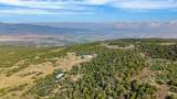 50208 Coon Creek Road - Photo 14