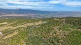 50208 Coon Creek Road - Photo 15