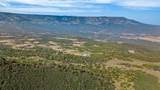 50208 Coon Creek Road - Photo 16