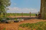 7531 High Mesa Road - Photo 12