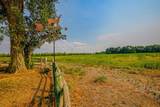 7531 High Mesa Road - Photo 13