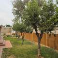 610 Harrison Avenue - Photo 25