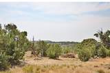 1775 35 1/10 Road - Photo 36