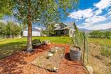 524 County Road 259 - Photo 4