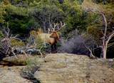 18726 Kimball Creek Road - Photo 40