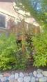 390 Jenny Place - Photo 42