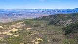 TBD Coon Creek Road - Photo 1