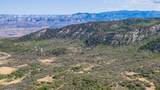TBD Coon Creek Road - Photo 2