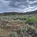 TBD Harrison Creek Road - Photo 12