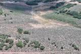 TBD Harrison Creek Road - Photo 13