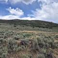 TBD Harrison Creek Road - Photo 16