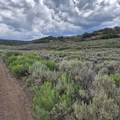 TBD Harrison Creek Road - Photo 18