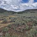 TBD Harrison Creek Road - Photo 19