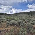 TBD Harrison Creek Road - Photo 20