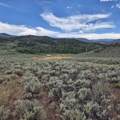 TBD Harrison Creek Road - Photo 27