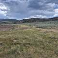 TBD Harrison Creek Road - Photo 29