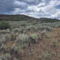 TBD Harrison Creek Road - Photo 33