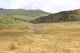 TBD Harrison Creek Road - Photo 34
