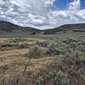 TBD Harrison Creek Road - Photo 35