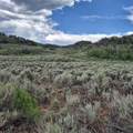 TBD Harrison Creek Road - Photo 36