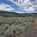 TBD Harrison Creek Road - Photo 37
