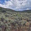 TBD Harrison Creek Road - Photo 38