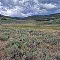 TBD Harrison Creek Road - Photo 7