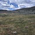 TBD Harrison Creek Road - Photo 9