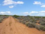 19515 Paradox Trail - Photo 10