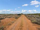 19515 Paradox Trail - Photo 11