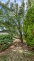 2832 Texas Avenue - Photo 20