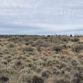 LOT 130 Nicolette Way - Photo 22