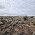 LOT 130 Nicolette Way - Photo 29