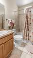 2477 Thunder Mountain Drive - Photo 25