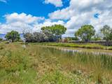 3211 1/2 Bunting Avenue - Photo 26
