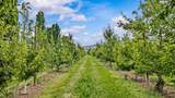 20977 Nowhere Road - Photo 11