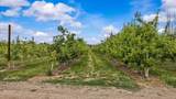 20977 Nowhere Road - Photo 8